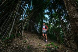 BIB: 
                            <button type="button" onclick="openModal(19395516)" class="btn btn-primary btn-sm float-right btn-popup" data-toggle="modal" data-target=".modal-high-quality">
                        <i class="fas fa-shopping-cart"></i> Add to Cart
                    </button>
                                            <button type="button" onclick="isThisMe(19395516, true)" class="btn btn-success btn-sm float-right btn-popup btn-isme hidden" data-toggle="tooltip" data-placement="bottom" title="นี่คือรูปของคุณใช่ไหม คลิกที่นี่เพื่อเอาเข้าอัลบั้ม">
                        <i class="fas fa-plus"></i> Add to album
                    </button>
                    <button type="button" onclick="isThisMe(19395516, false)" class="btn btn-warning btn-sm float-right btn-popup btn-isnotme hidden">
                        <i class="fas fa-ban"></i> Remove from album
                    </button>